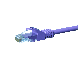 CAT 5e Netzwerkkabel U/UTP – 1 Meter - Violett - CCA